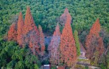 莫干山风景名胜区